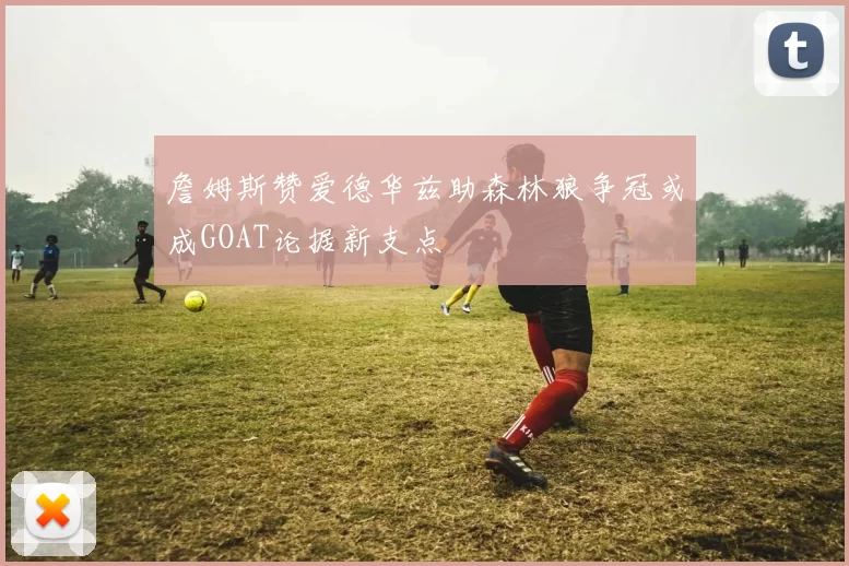 詹姆斯赞爱德华兹助森林狼争冠或成GOAT论据新支点