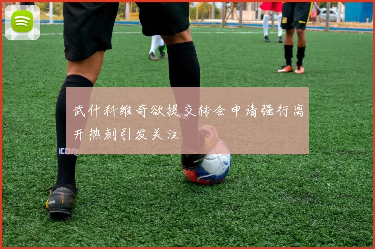 武什科维奇欲提交转会申请强行离开热刺引发关注