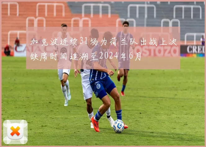 加克波连续31场为荷兰队出战上次缺席时间追溯至2024年6月
